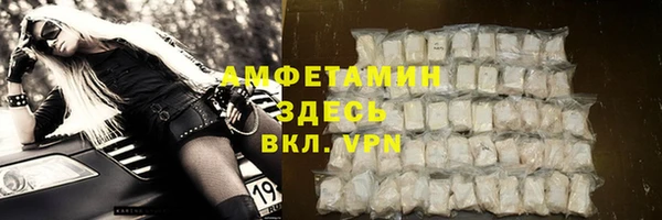 гидра Грязи