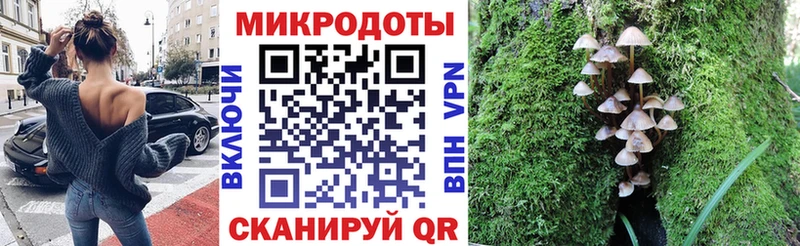 Псилоцибиновые грибы GOLDEN TEACHER  закладка  Мариинский Посад 
